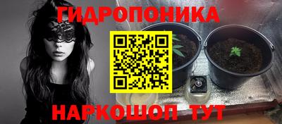 метадон Гусев